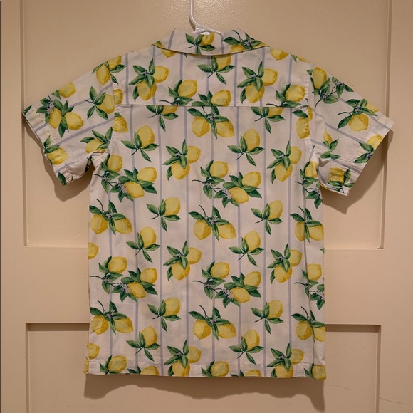 BOYS JANIE AND JACK Lemon Print Button-Down Shirt – Size 6 (6 Years) - Picture 4 of 6